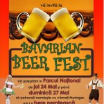 bavarian beer fest