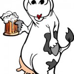 beer drinking cow